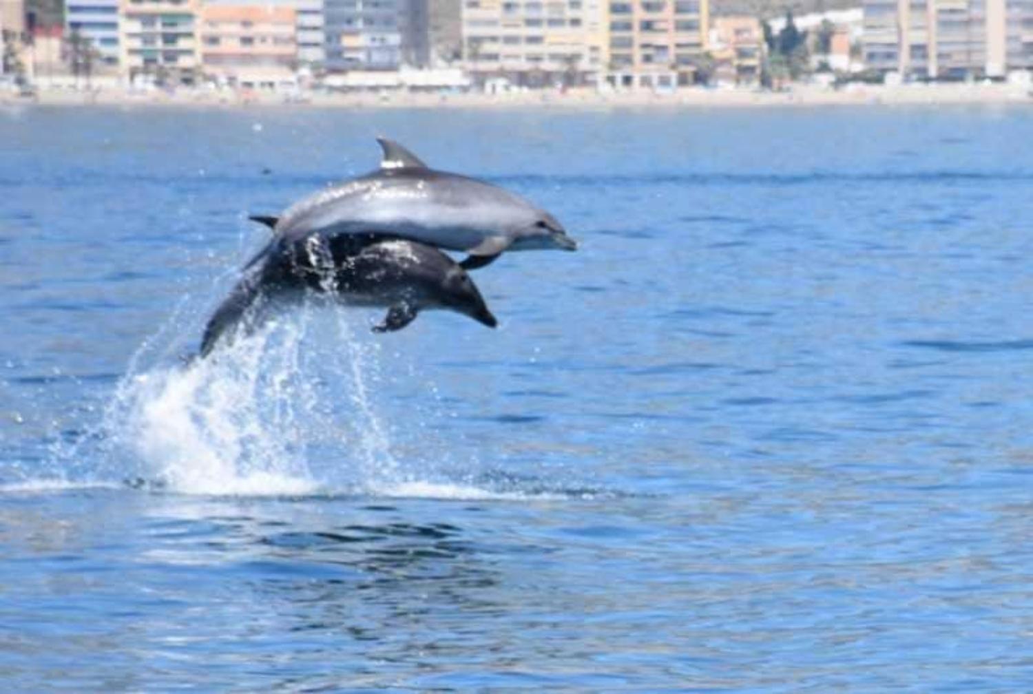 Primera Linea Del Mar - Acceso Directo Playa Carihuela Τορρεμολίνος Εξωτερικό φωτογραφία